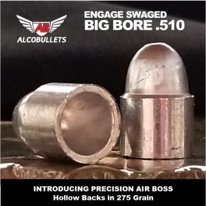 Airgun ammo .510 Hollow back 275 gr product