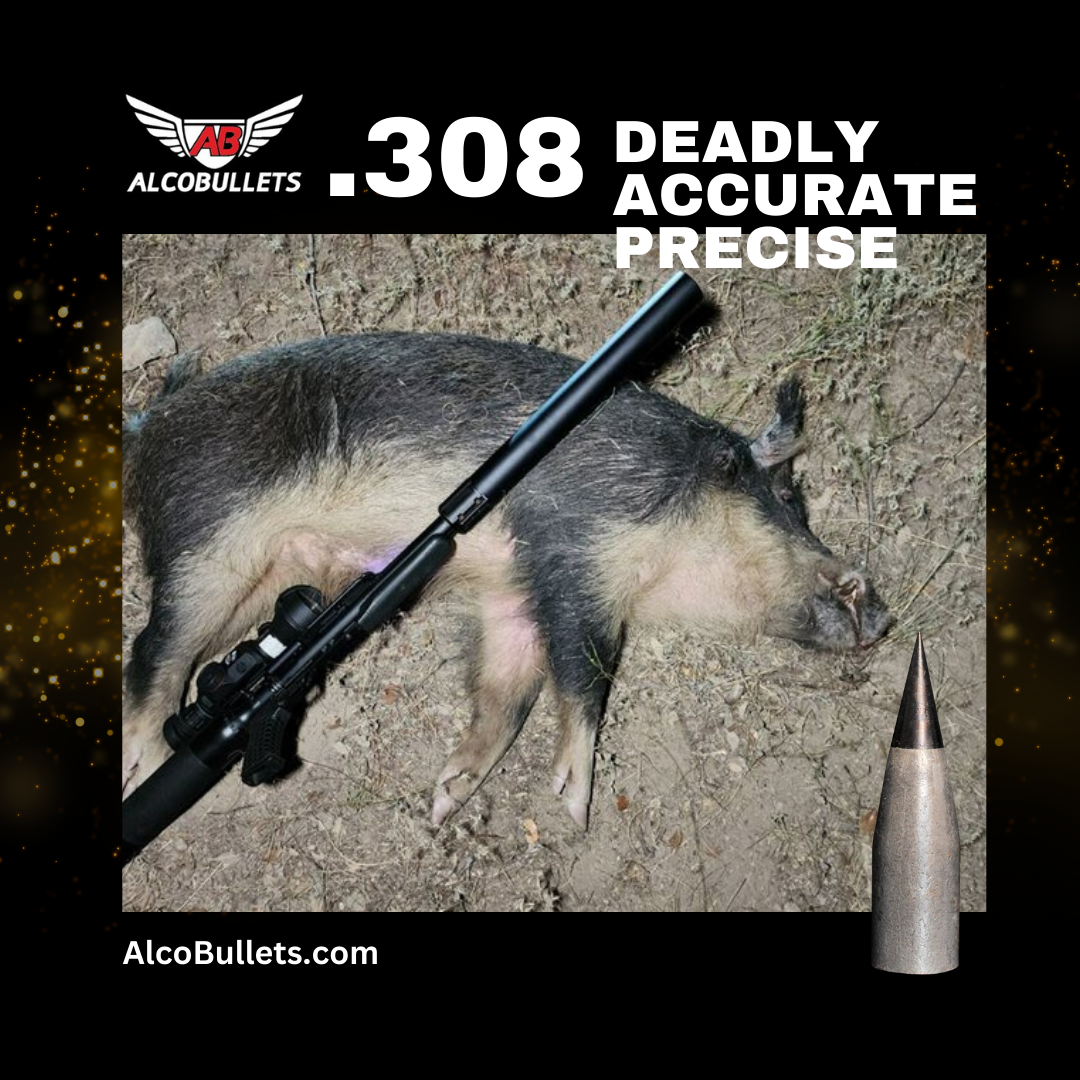 Ear Piercing by Alco with .308 Big Bore Bullets