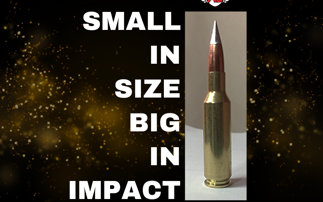 The Power of Alco .224 Caliber Bullets